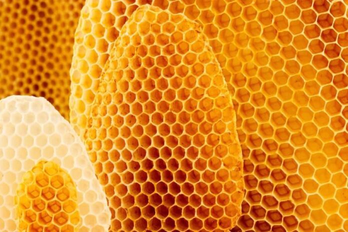 Beeswax for Sale Lappes Bee Supply